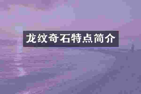 龙纹奇石特点简介