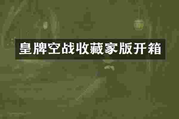 皇牌空战收藏家版开箱
