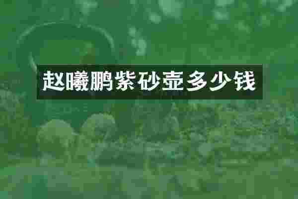 赵曦鹏紫砂壶多少钱