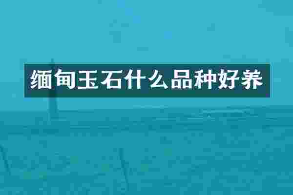 缅甸玉石什么品种好养