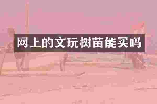 网上的文玩树苗能买吗