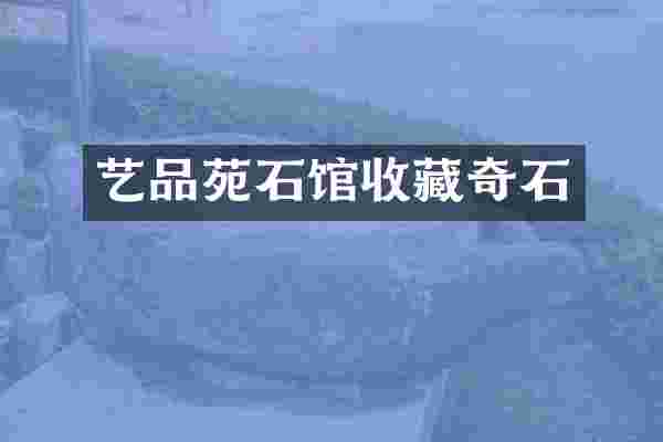 艺品苑石馆收藏奇石