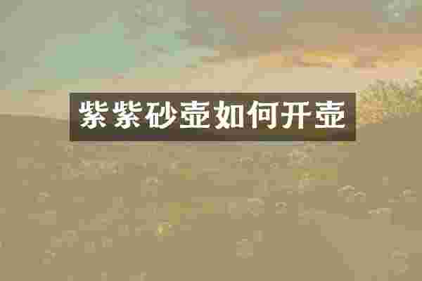 紫紫砂壶如何开壶