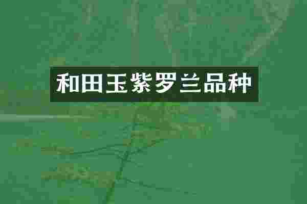 和田玉紫罗兰品种
