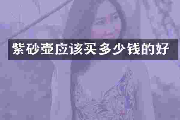 紫砂壶应该买多少钱的好
