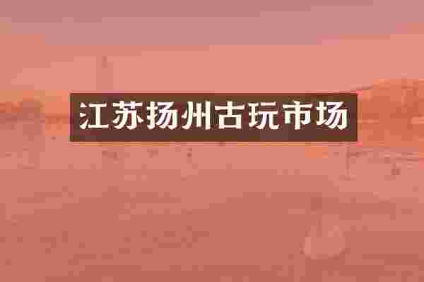 江苏扬州古玩市场
