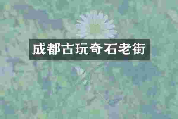 成都古玩奇石老街