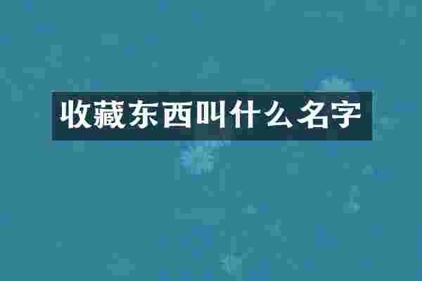 收藏东西叫什么名字