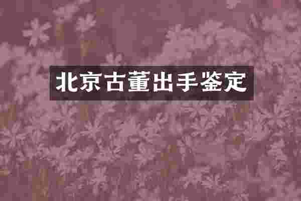北京古董出手鉴定