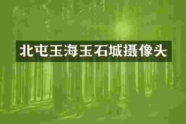 北屯玉海玉石城摄像头