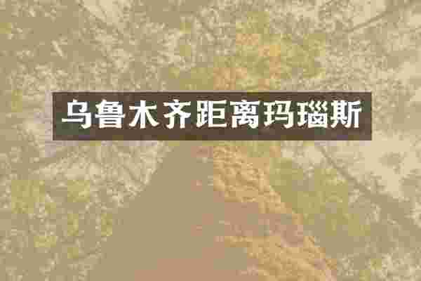 乌鲁木齐距离玛瑙斯