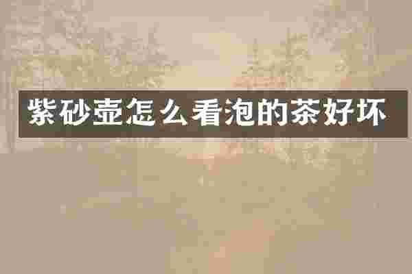 紫砂壶怎么看泡的茶好坏
