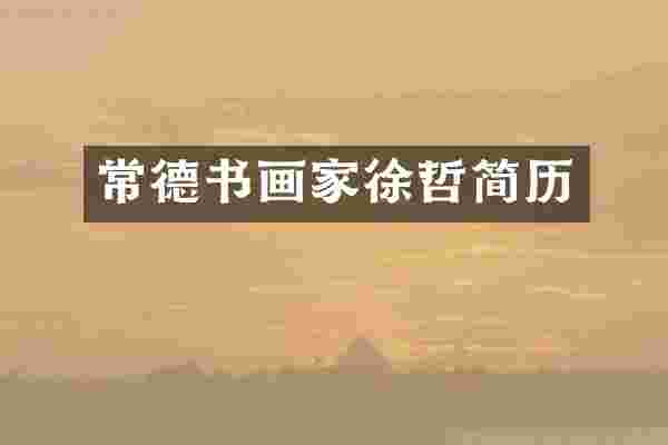 常德书画家徐哲简历