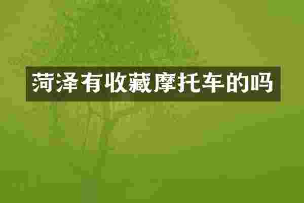 菏泽有收藏摩托车的吗