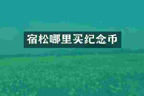 宿松哪里买纪念币