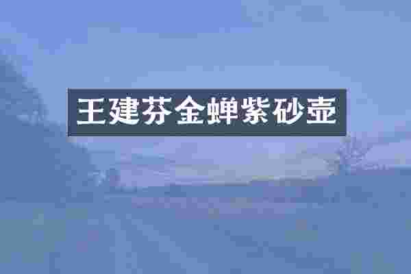 王建芬金蝉紫砂壶