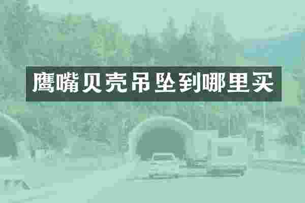 鹰嘴贝壳吊坠到哪里买