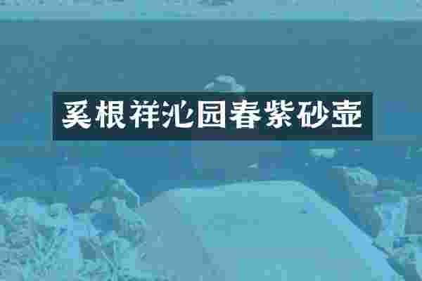 奚根祥沁园春紫砂壶