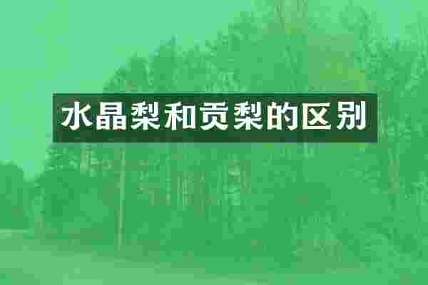 水晶梨和贡梨的区别