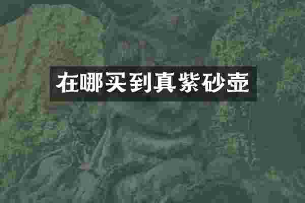 在哪买到真紫砂壶