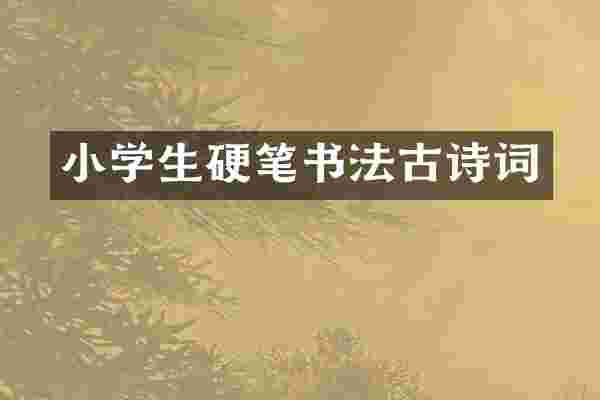 小学生硬笔书法古诗词