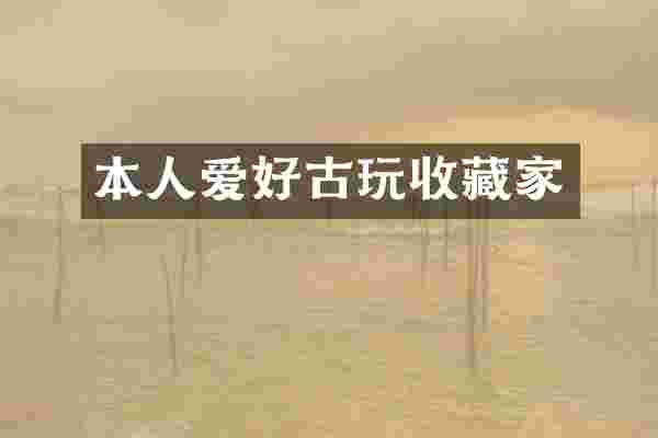本人爱好古玩收藏家