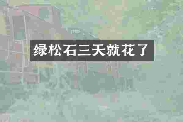 绿松石三天就花了