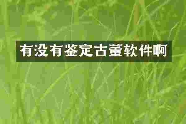 有没有鉴定古董软件啊