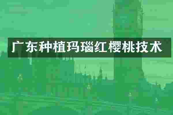 广东种植玛瑙红樱桃技术