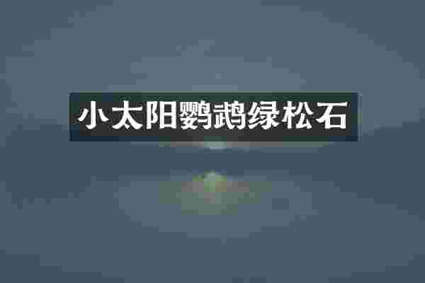 小太阳鹦鹉绿松石