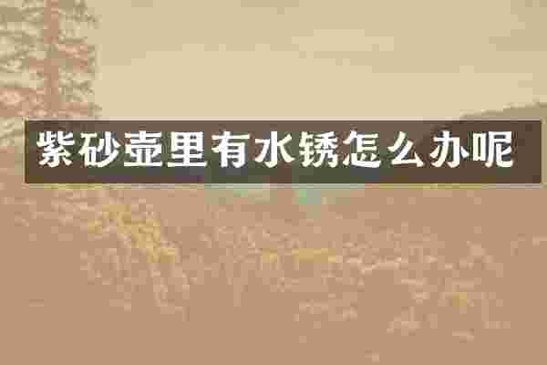 紫砂壶里有水锈怎么办呢