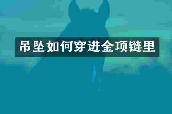 吊坠如何穿进金项链里
