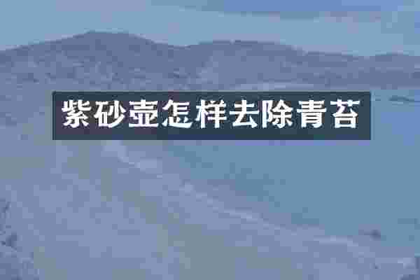 紫砂壶怎样去除青苔