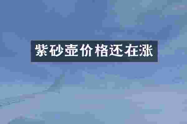 紫砂壶价格还在涨