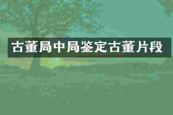 古董局中局鉴定古董片段