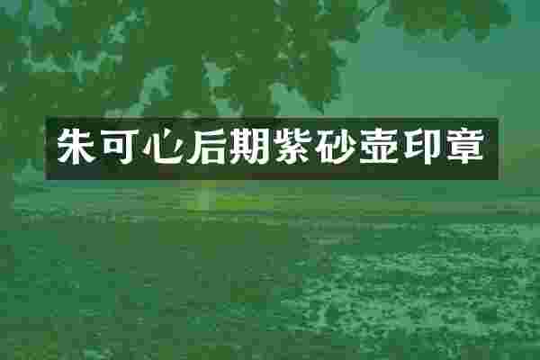 朱可心后期紫砂壶印章