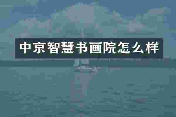 中京智慧书画院怎么样
