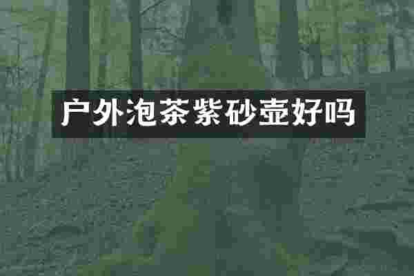 户外泡茶紫砂壶好吗