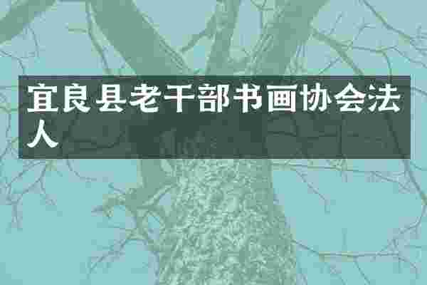 宜良县老干部书画协会法人