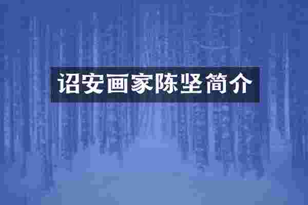 诏安画家陈坚简介