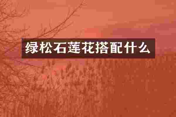 绿松石莲花搭配什么