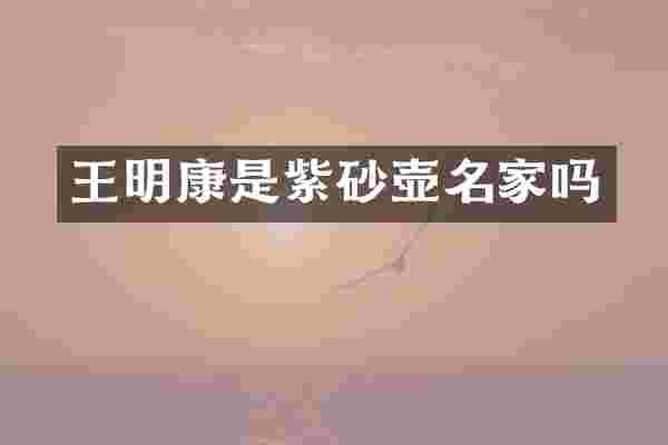 王明康是紫砂壶名家吗