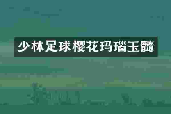 少林足球樱花玛瑙玉髓