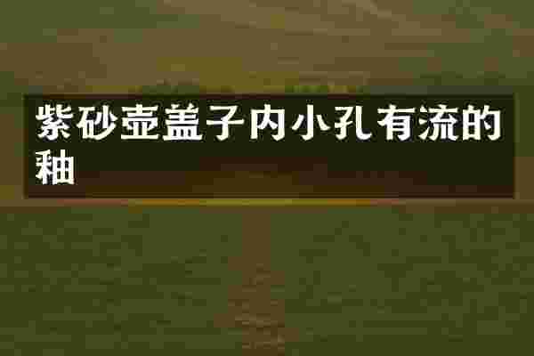 紫砂壶盖子内小孔有流的釉
