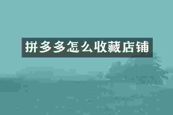 拼多多怎么收藏店铺