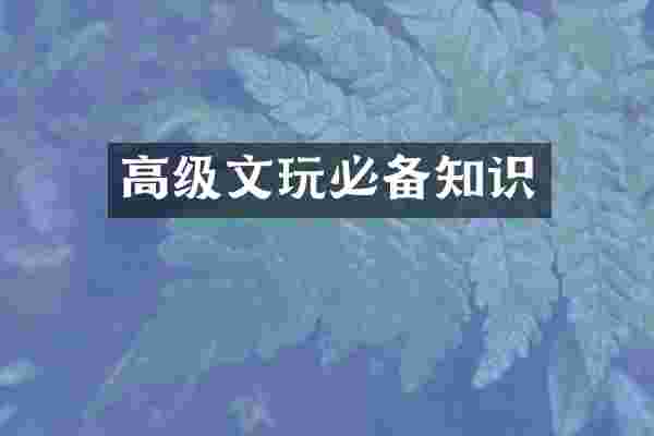 高级文玩必备知识