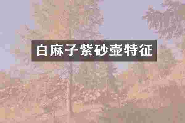 白麻子紫砂壶特征