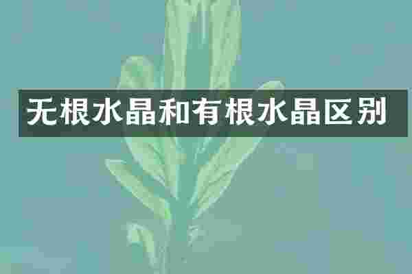 无根水晶和有根水晶区别