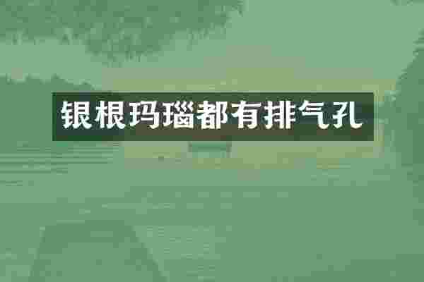 银根玛瑙都有排气孔