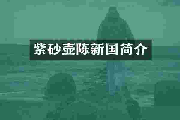 紫砂壶陈新国简介